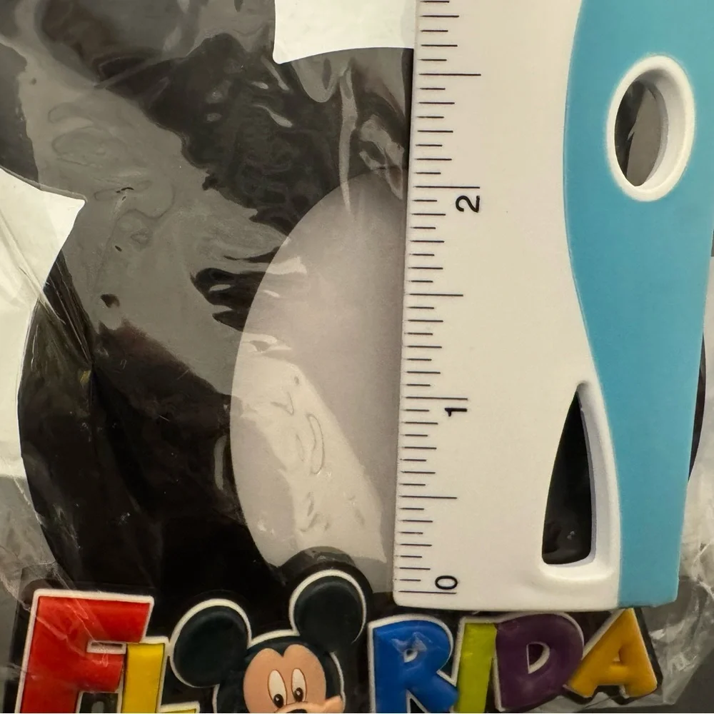 Disney rubber photo